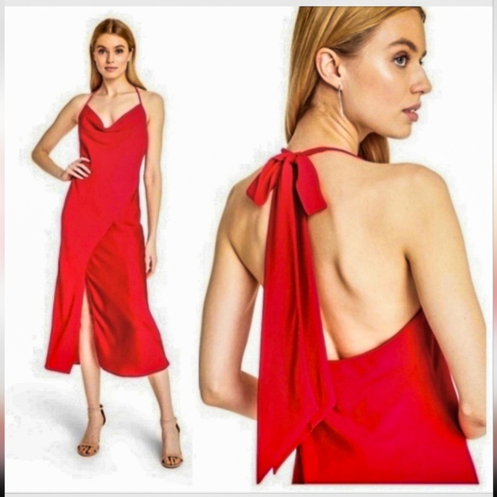 Cushnie x Target Red Strapless Slip Dress - Picture 3 of 14